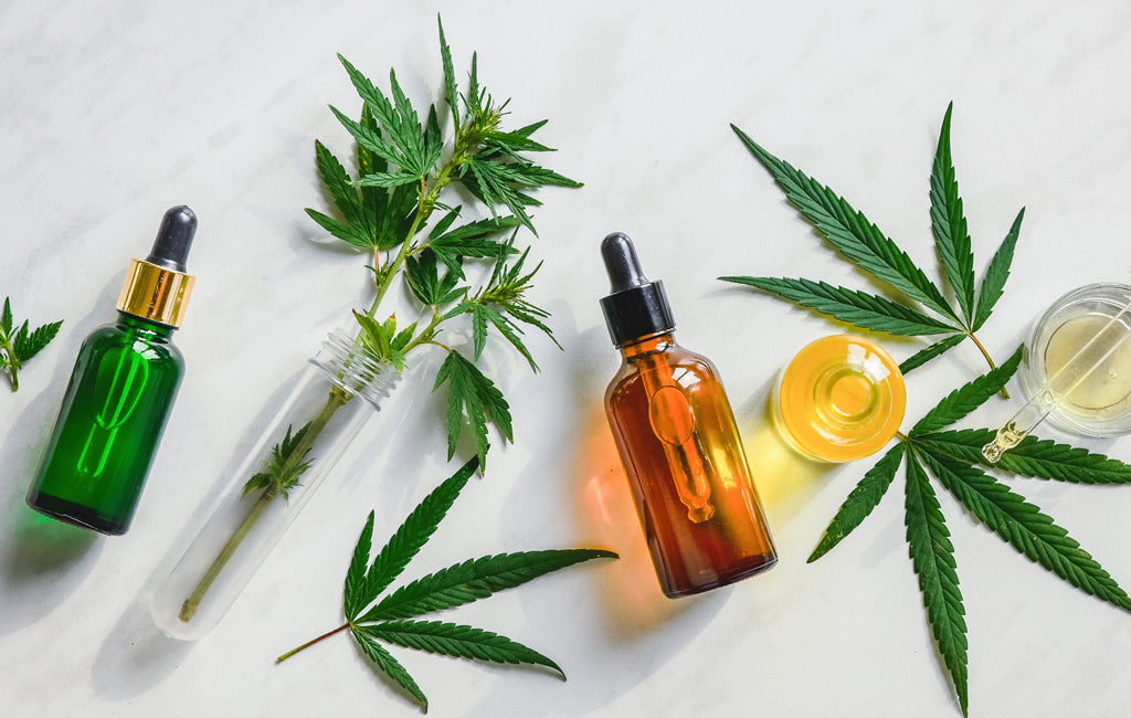 Exploring CBD Strains Trends and Innovations in Cannabidiol